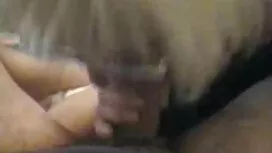 Upea Kolmikko suomal ...