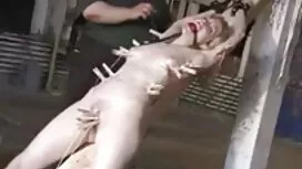 Poika jamina porno p ...